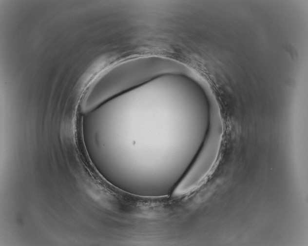 X0000112090340200908041455