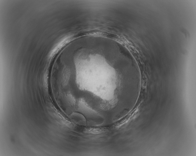 X0000112090341200908041455