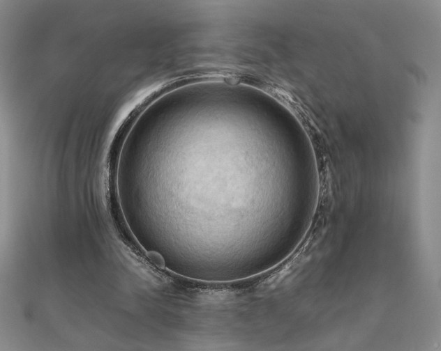 X0000112090342200908041455