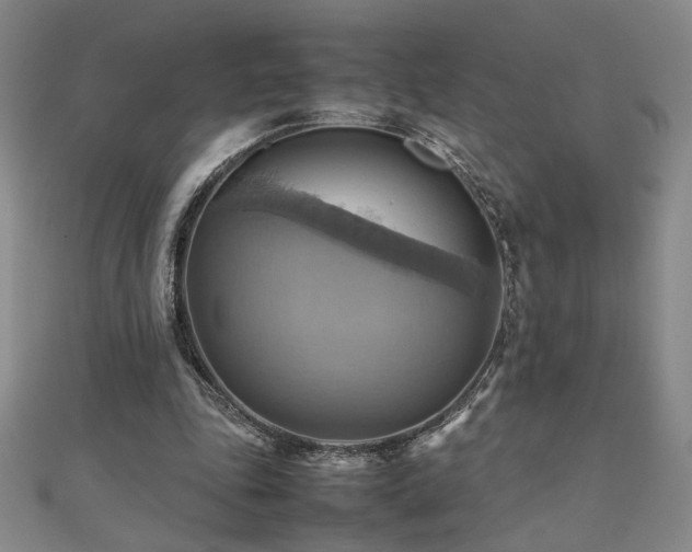 X0000112090343200908041455