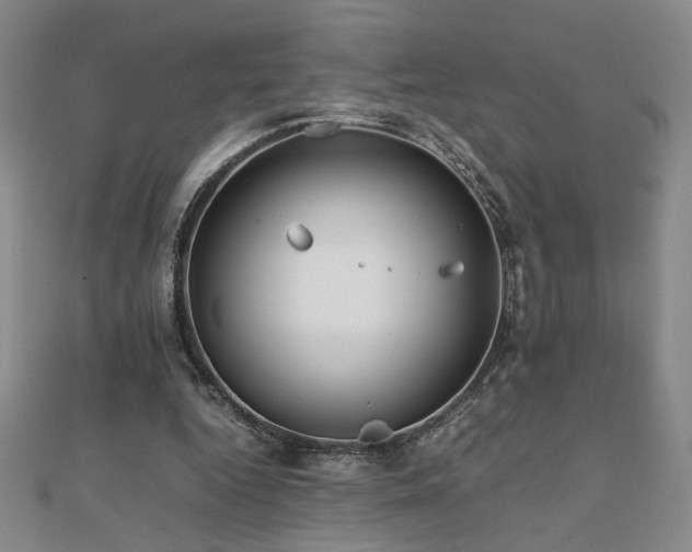 X0000112090344200908041455