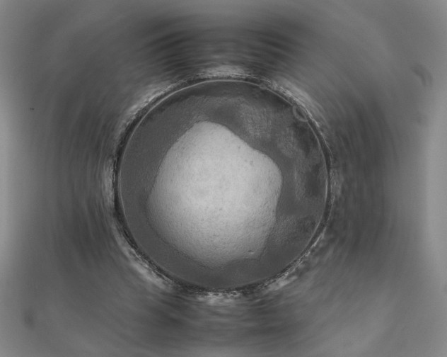X0000112090345200908041455