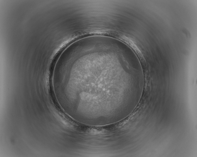 X0000112090346200908041455