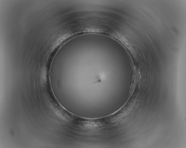 X0000112090347200908041455