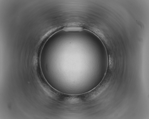 X0000112090348200908041455