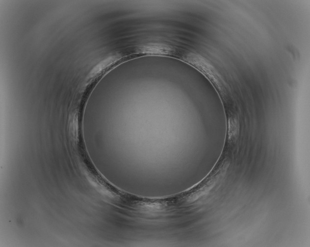 X0000112090349200908041455