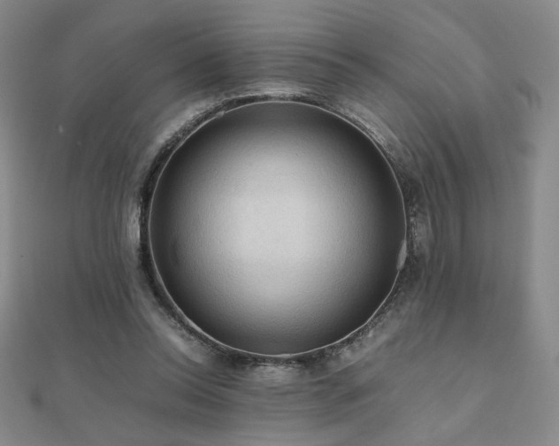 X0000112090350200908041455