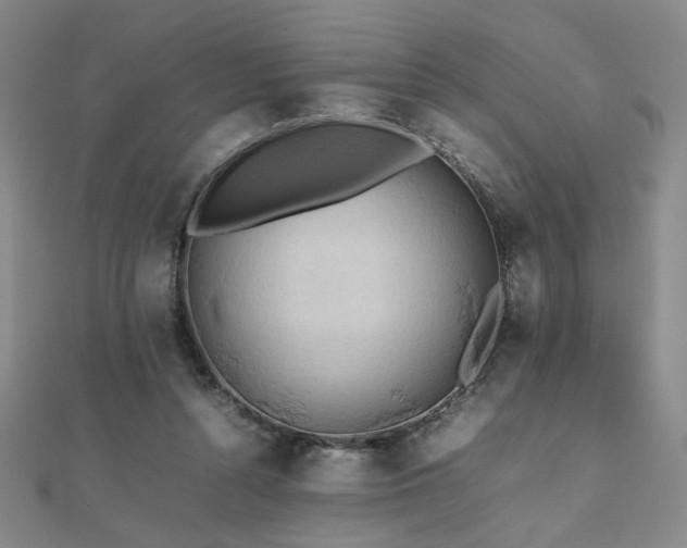 X0000112090352200908041455