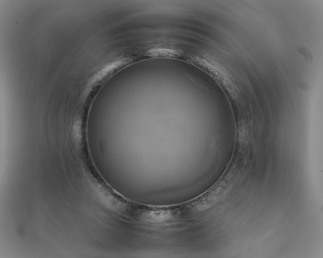 X0000112090353200908041455