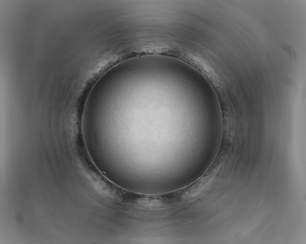X0000112090354200908041455