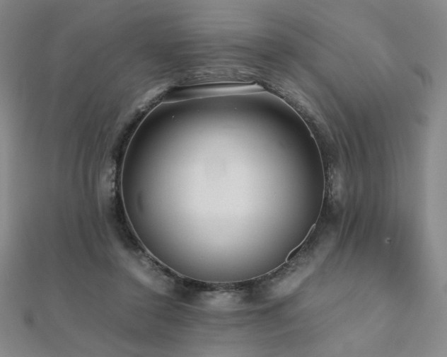 X0000112090356200908041455