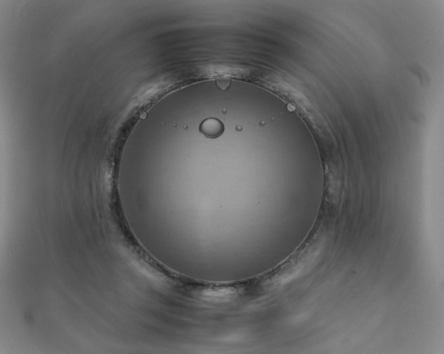 X0000112090357200908041455