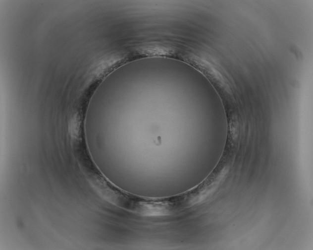 X0000112090359200908041455