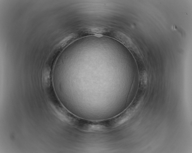 X0000112090360200908041455
