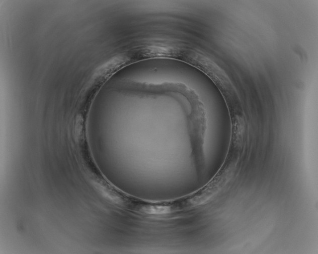X0000112090361200908041455