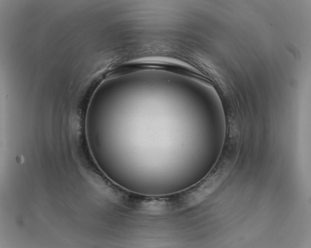 X0000112090362200908041455