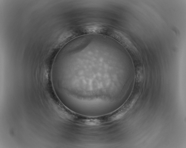 X0000112090363200908041455
