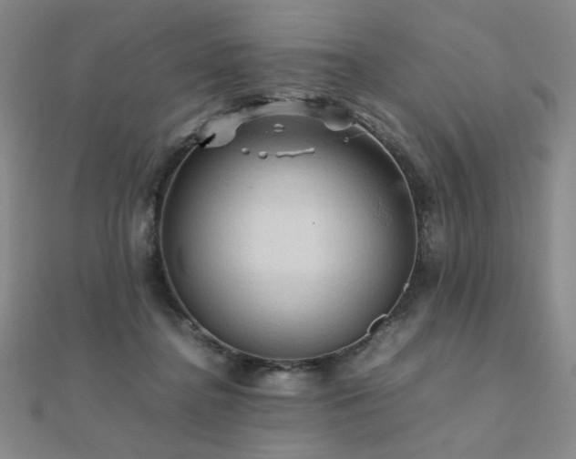 X0000112090364200908041455
