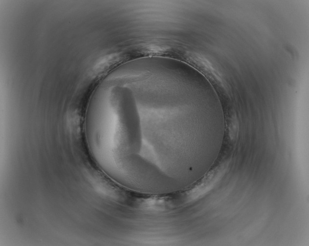 X0000112090366200908041455