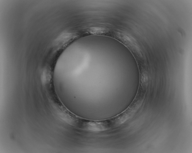 X0000112090367200908041455