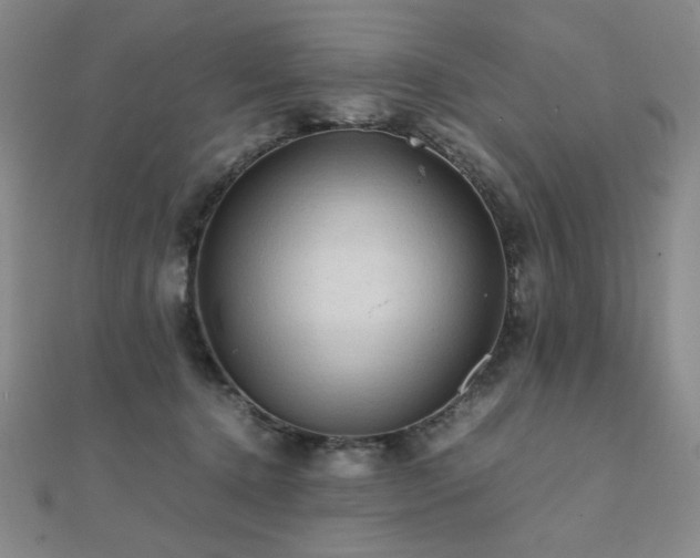 X0000112090368200908041455