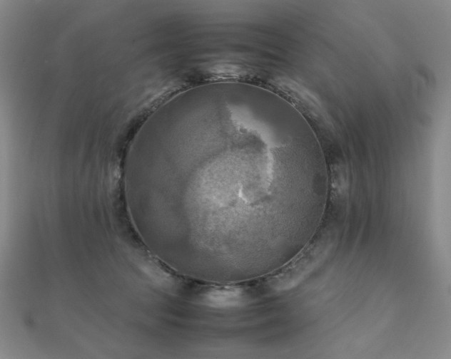 X0000112090369200908041455
