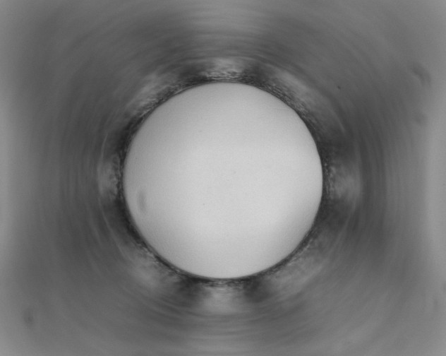 X0000112090370200908041455