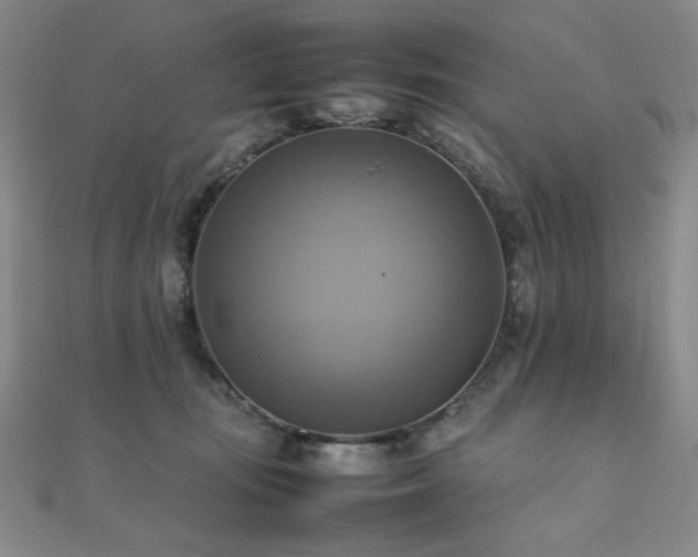 X0000112090371200908041455