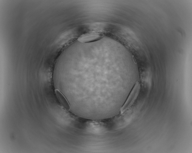 X0000112090372200908041455