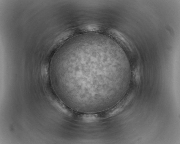 X0000112090373200908041455