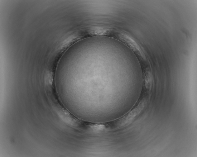 X0000112090374200908041455