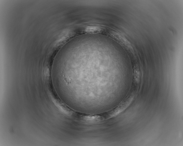 X0000112090375200908041455