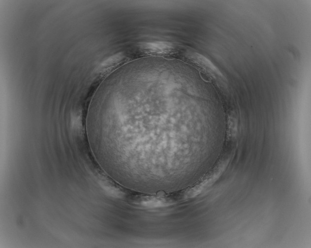 X0000112090377200908041455