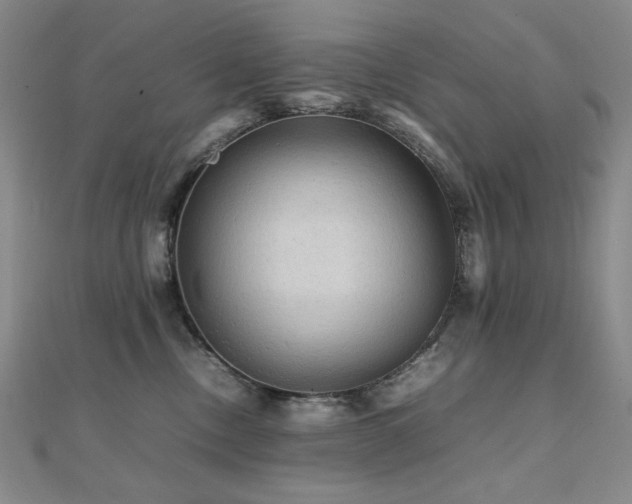 X0000112090378200908041455