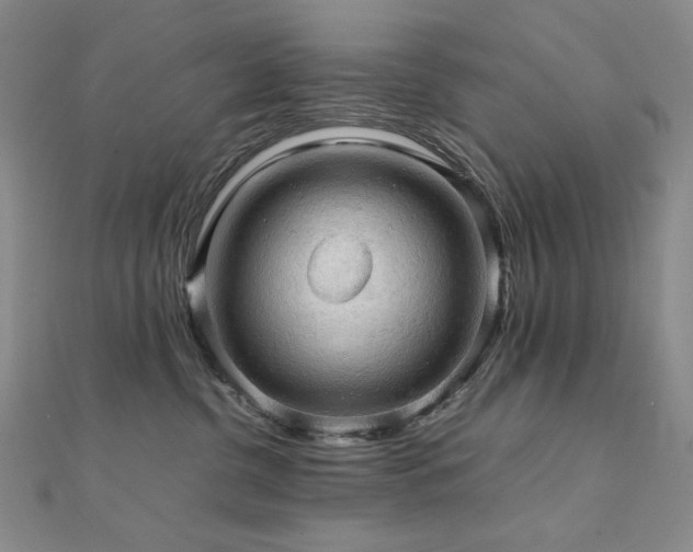 X0000112090380200908041455