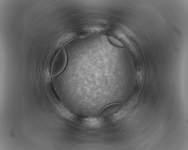 X0000112090381200908041455