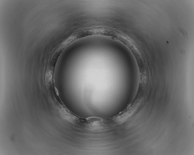 X0000112090382200908041455