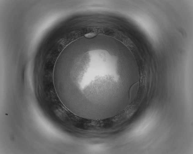 X0000112090383200908041455