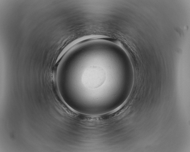 X0000112090384200908041455