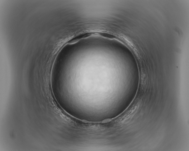 X0000112090385200908041455