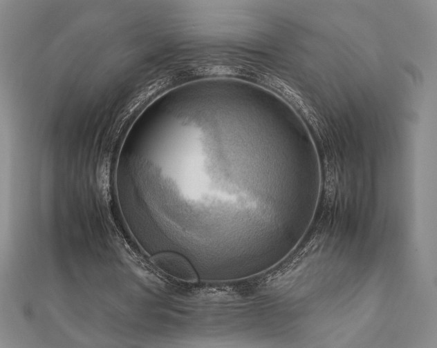 X0000112090386200908041455