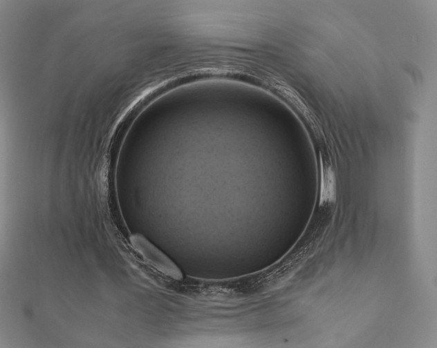 X0000112090387200908041455