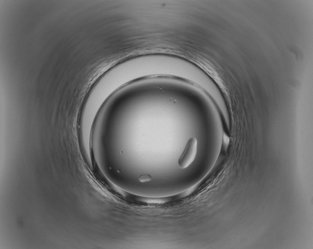 X0000112090389200908041455