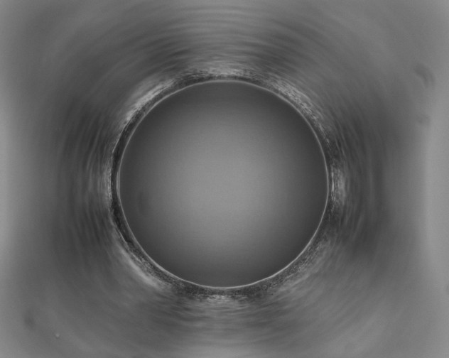 X0000112090390200908041455