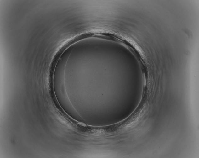 X0000112090391200908041454