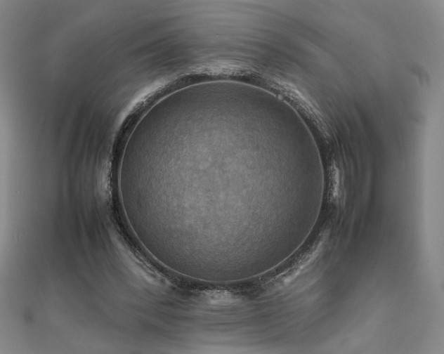 X0000112090392200908041454