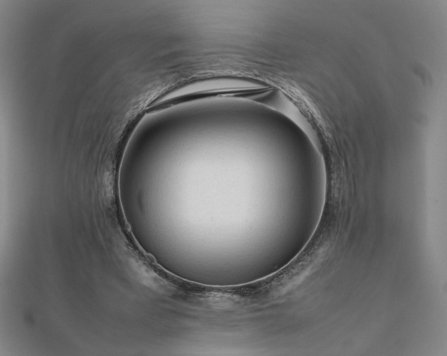X0000112090393200908041454