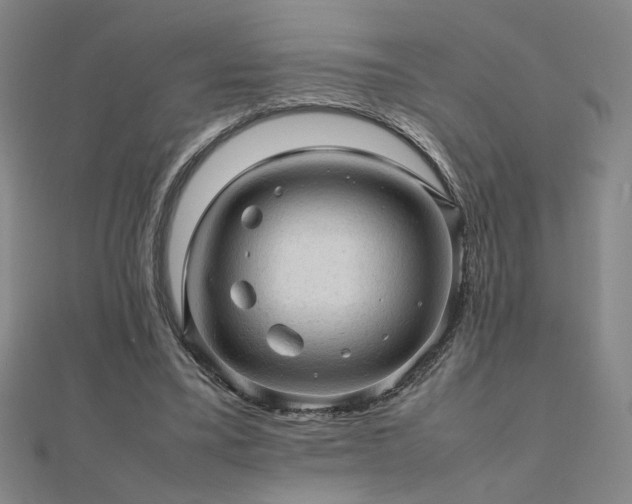 X0000112090395200908041454