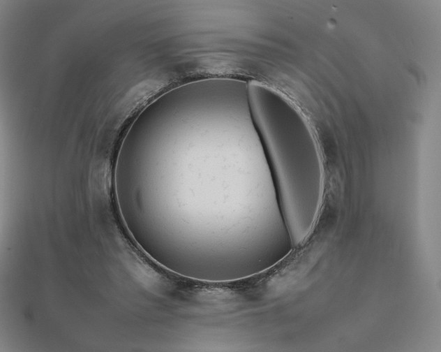 X0000112090397200908041454