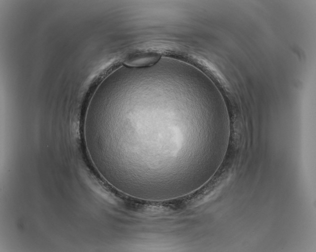 X0000112090399200908041454